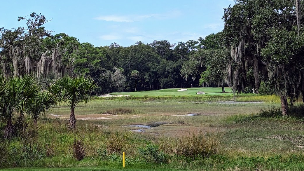 A photo of the Chechessee Creek Club on the twelfth hole.