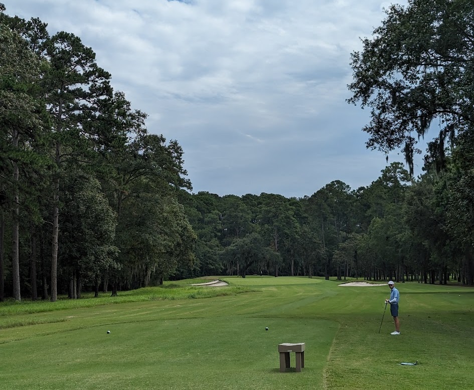 A photo of Chechessee Creek Club from the sixteenth hole.