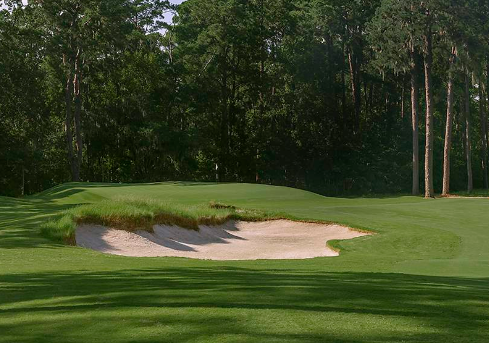 A photo of the Chechessee Creek Club on the fourteenth hole.
