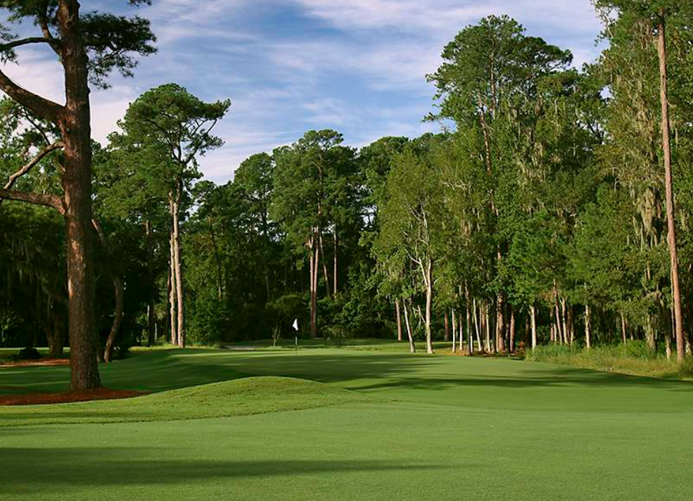 A photo of the Chechessee Creek Club on the seventeenth hole