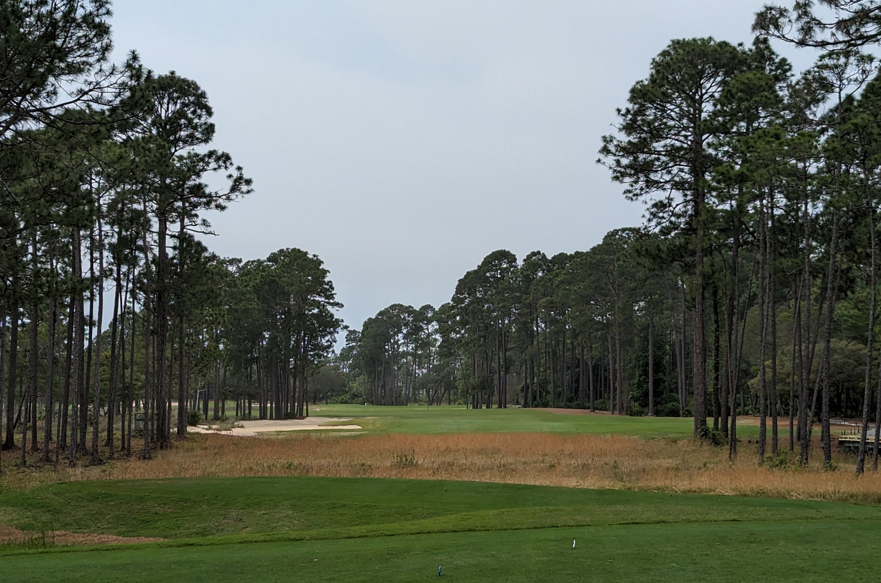 A photo of Shark's Tooth Golf Course from the sixth hole