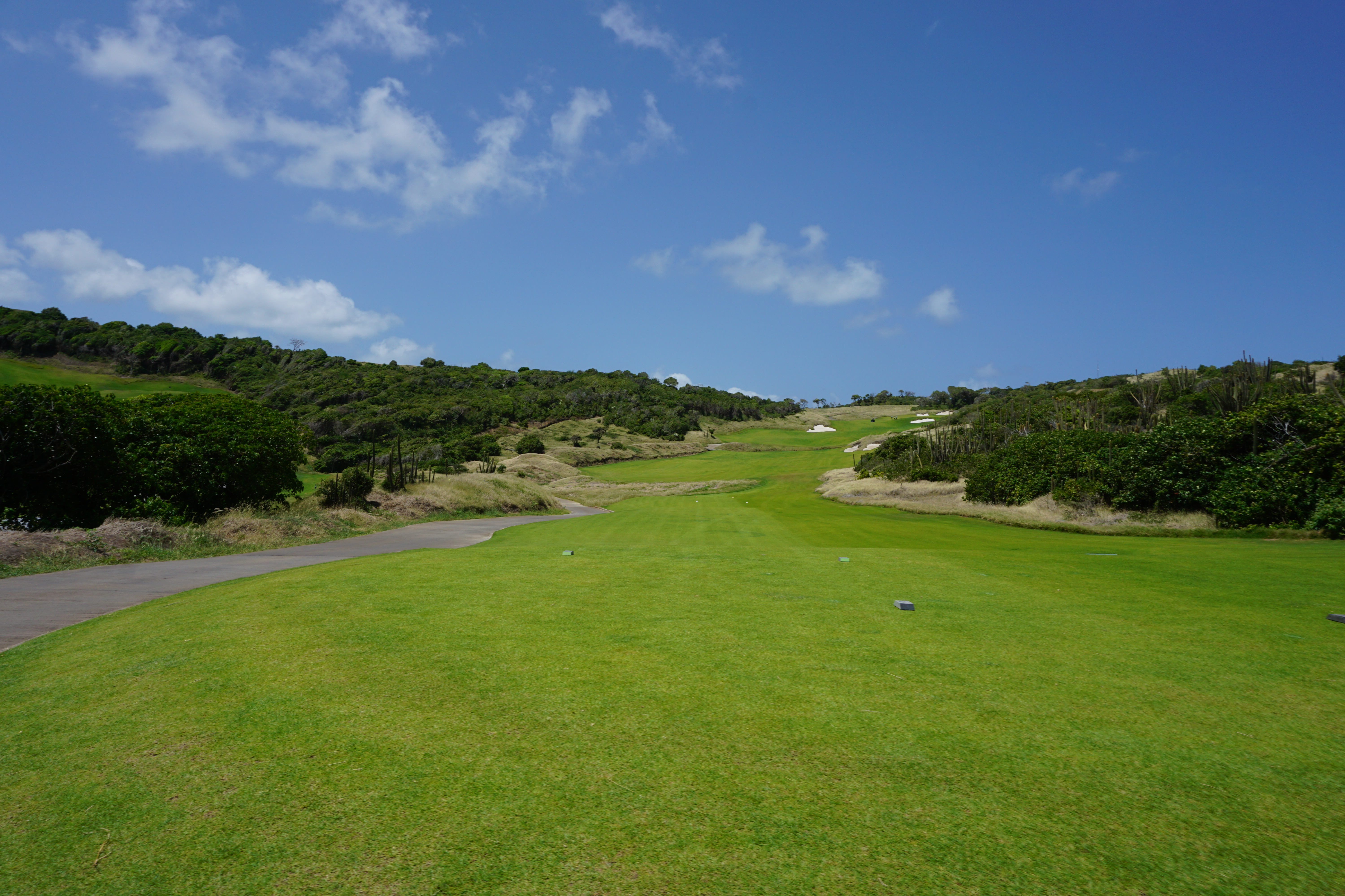 The tee shot at the first hole at Point Hardy Golf Club