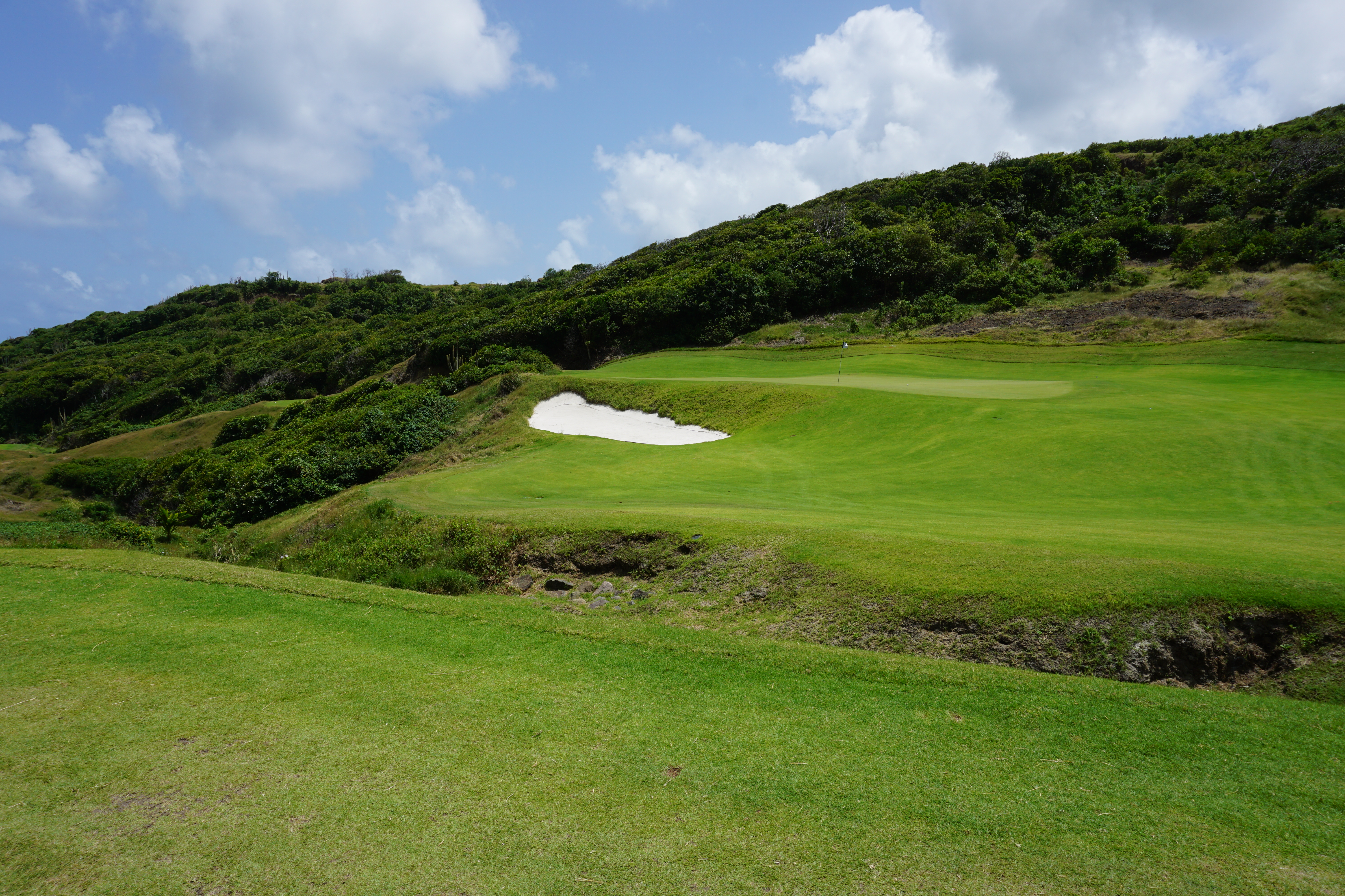 The fifth green at Point Hardy Golf Club
