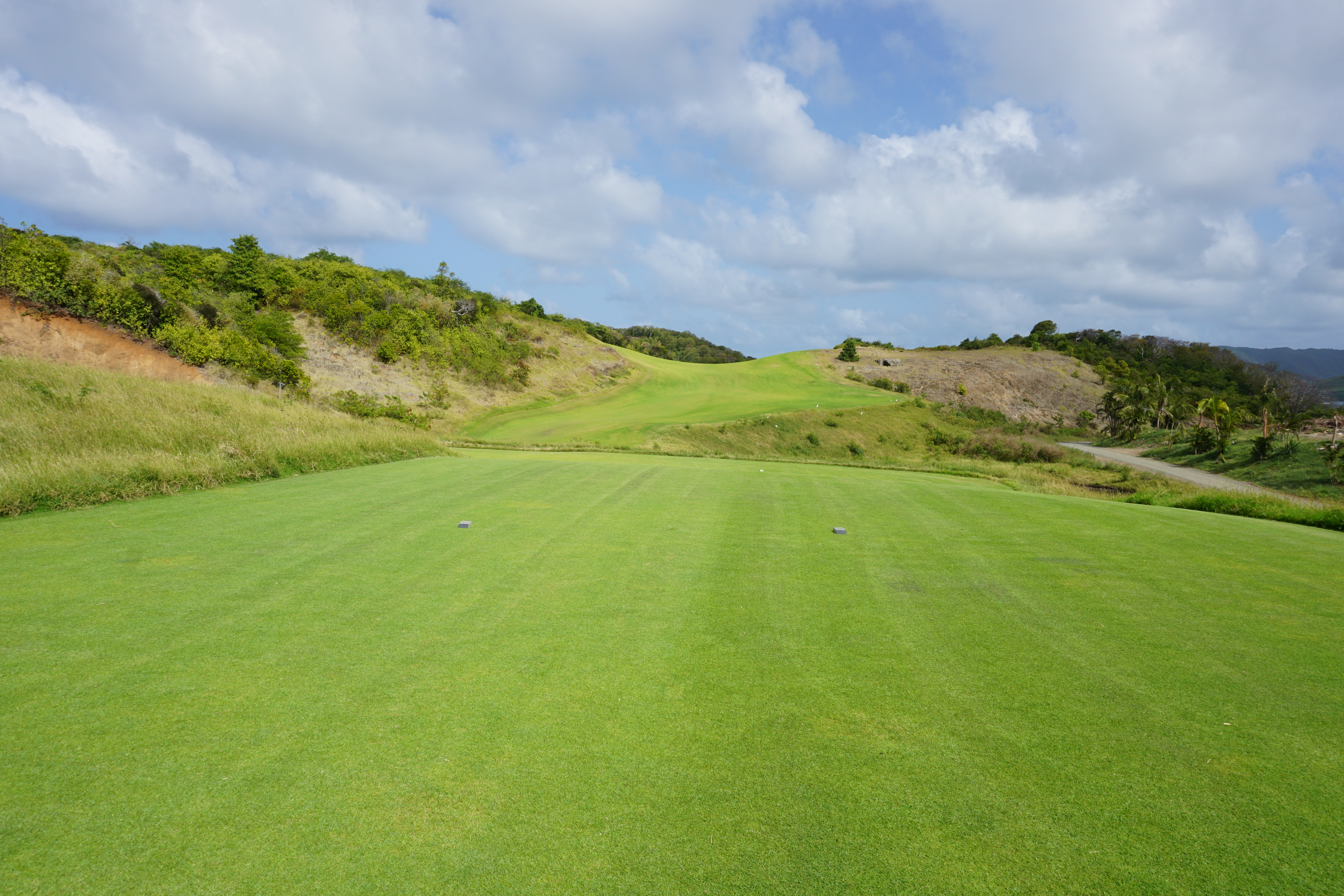 The tee shot at the fourteenth hole at Point Hardy Golf Club