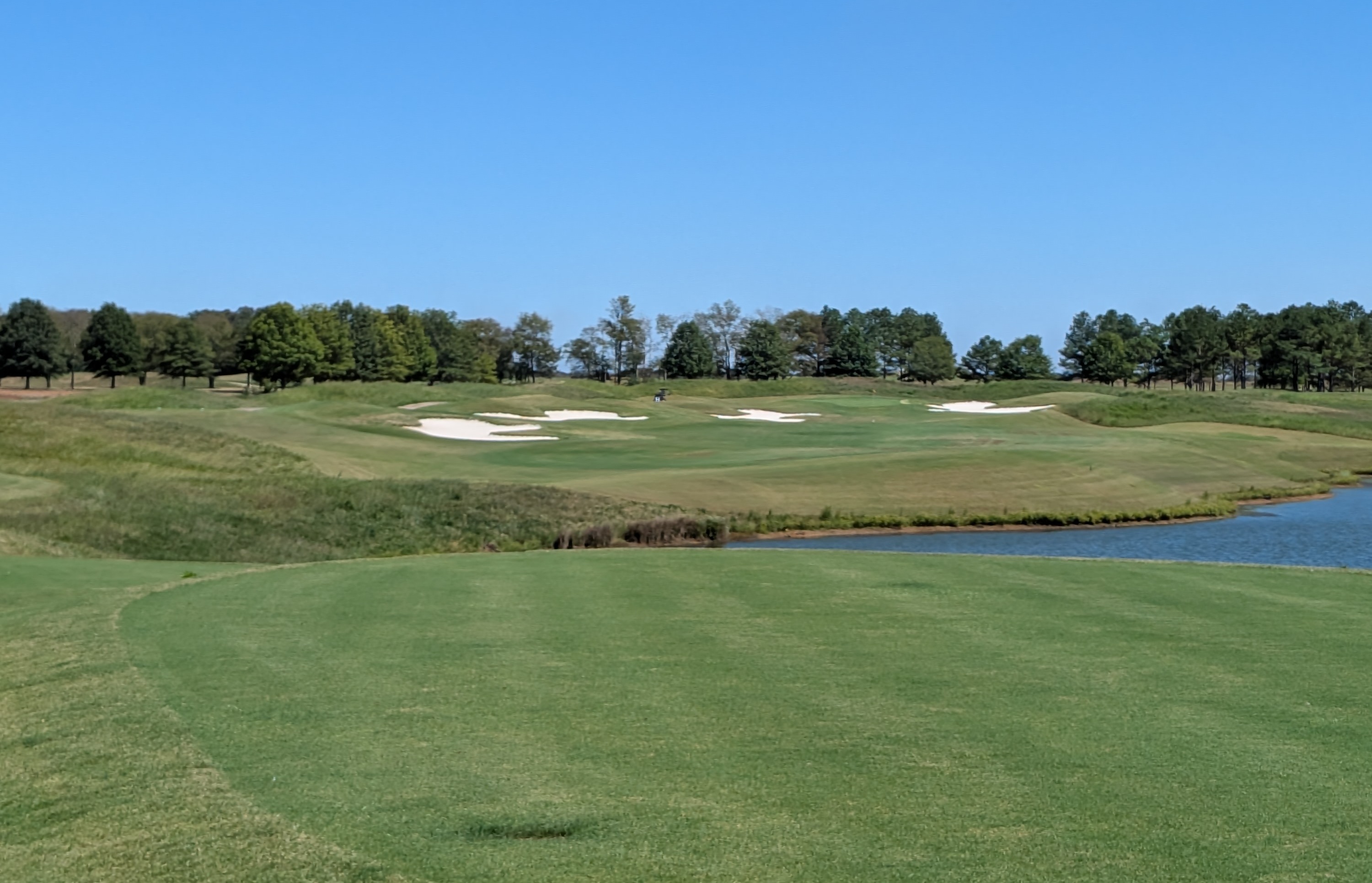 The tee shot at the tenth hole at The Shoals' Fighting Joe