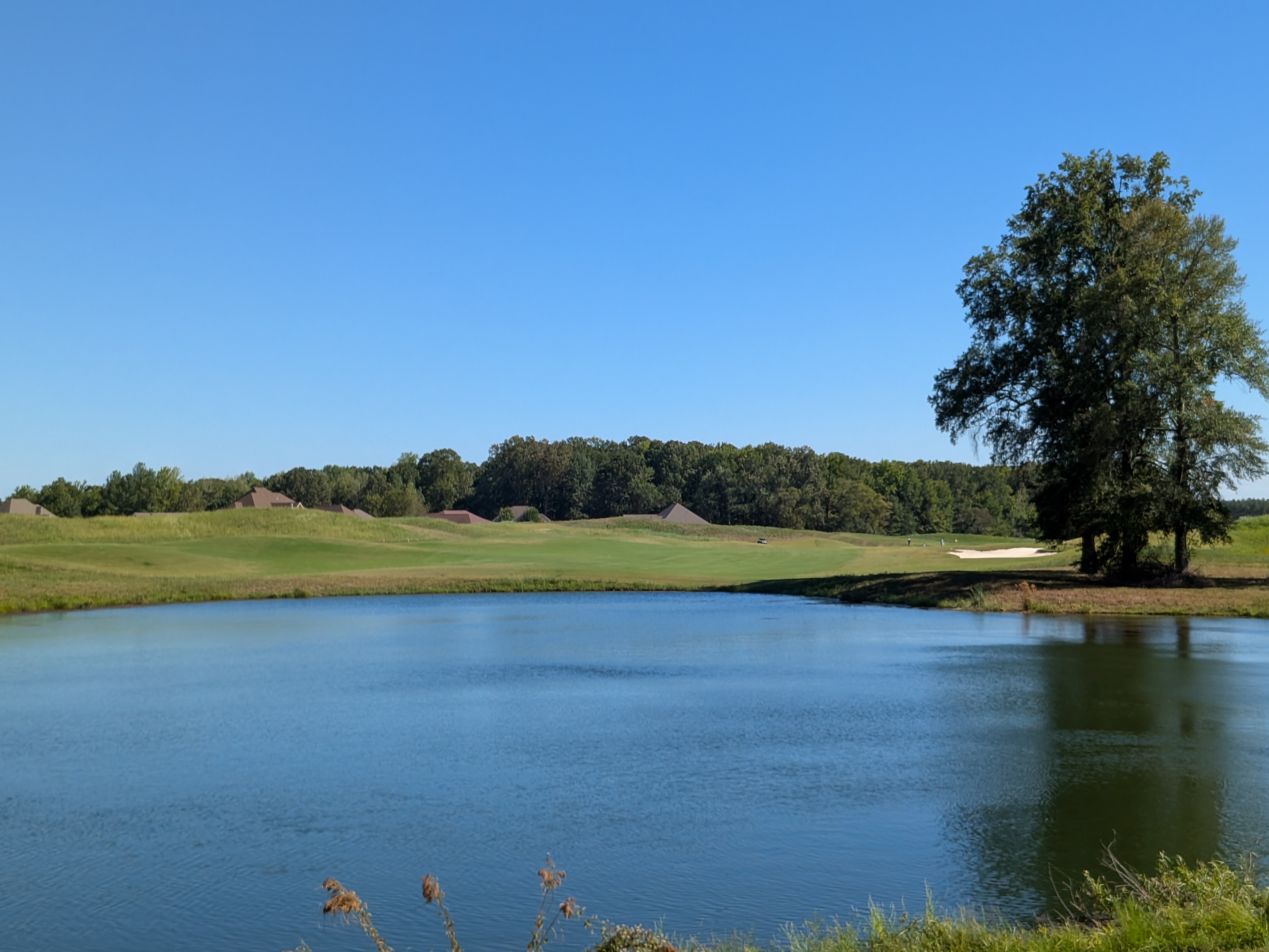 The tee shot at the fifteenth hole at The Shoals' Fighting Joe