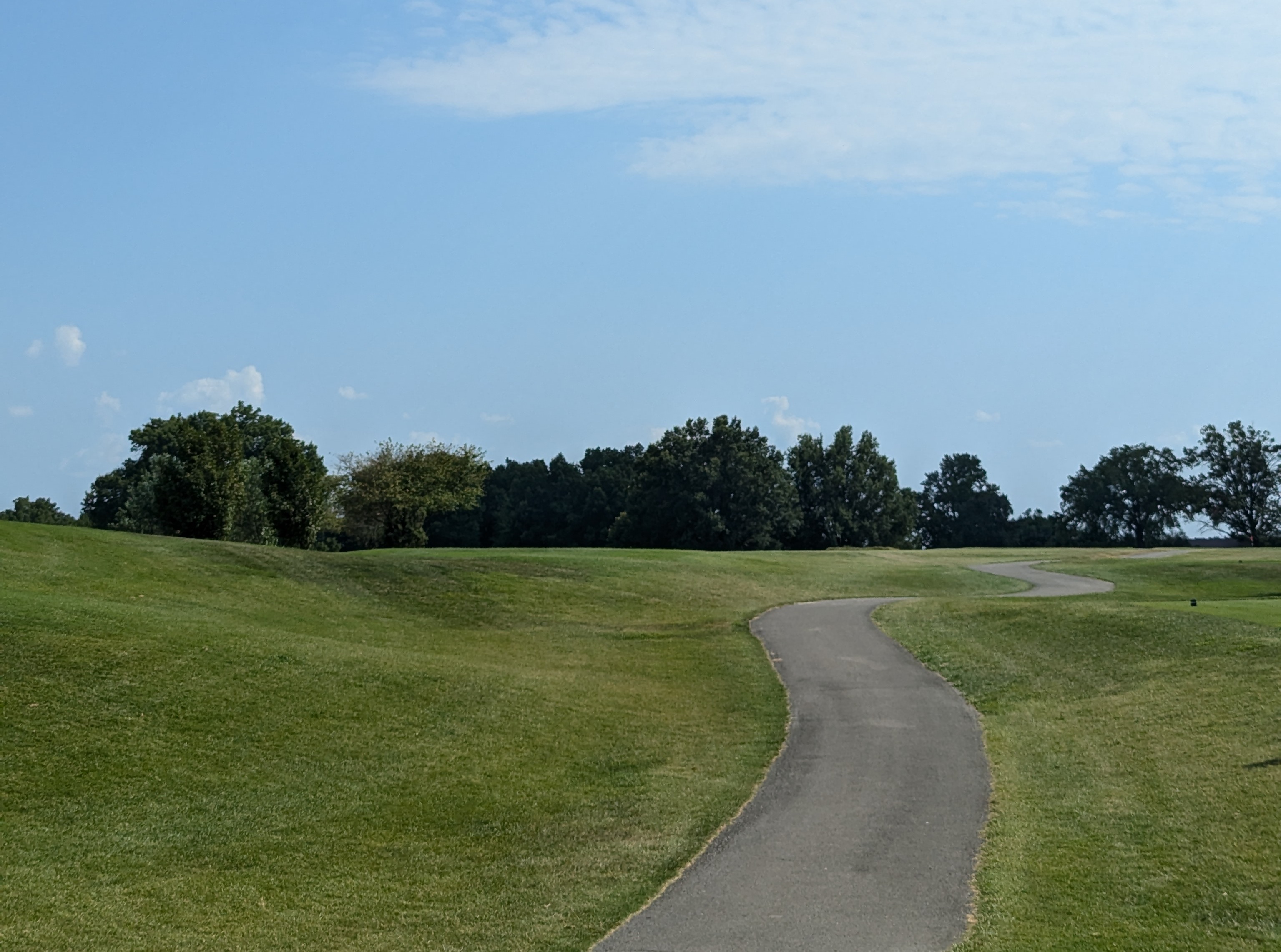 The tee shot at the ninth hole at Big Spring Country Club