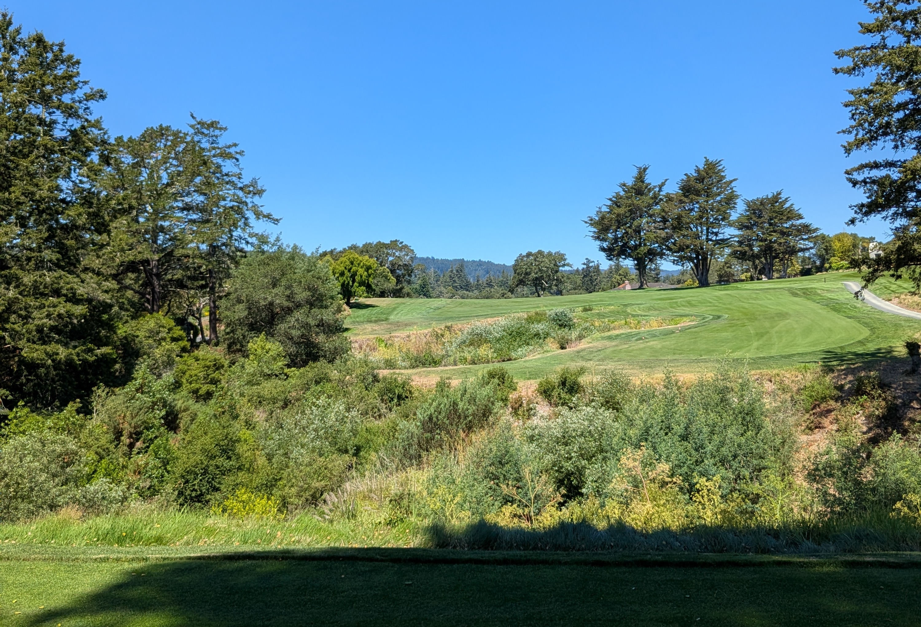 The tee shot at the tenth hole at Pasatiempo Golf Club