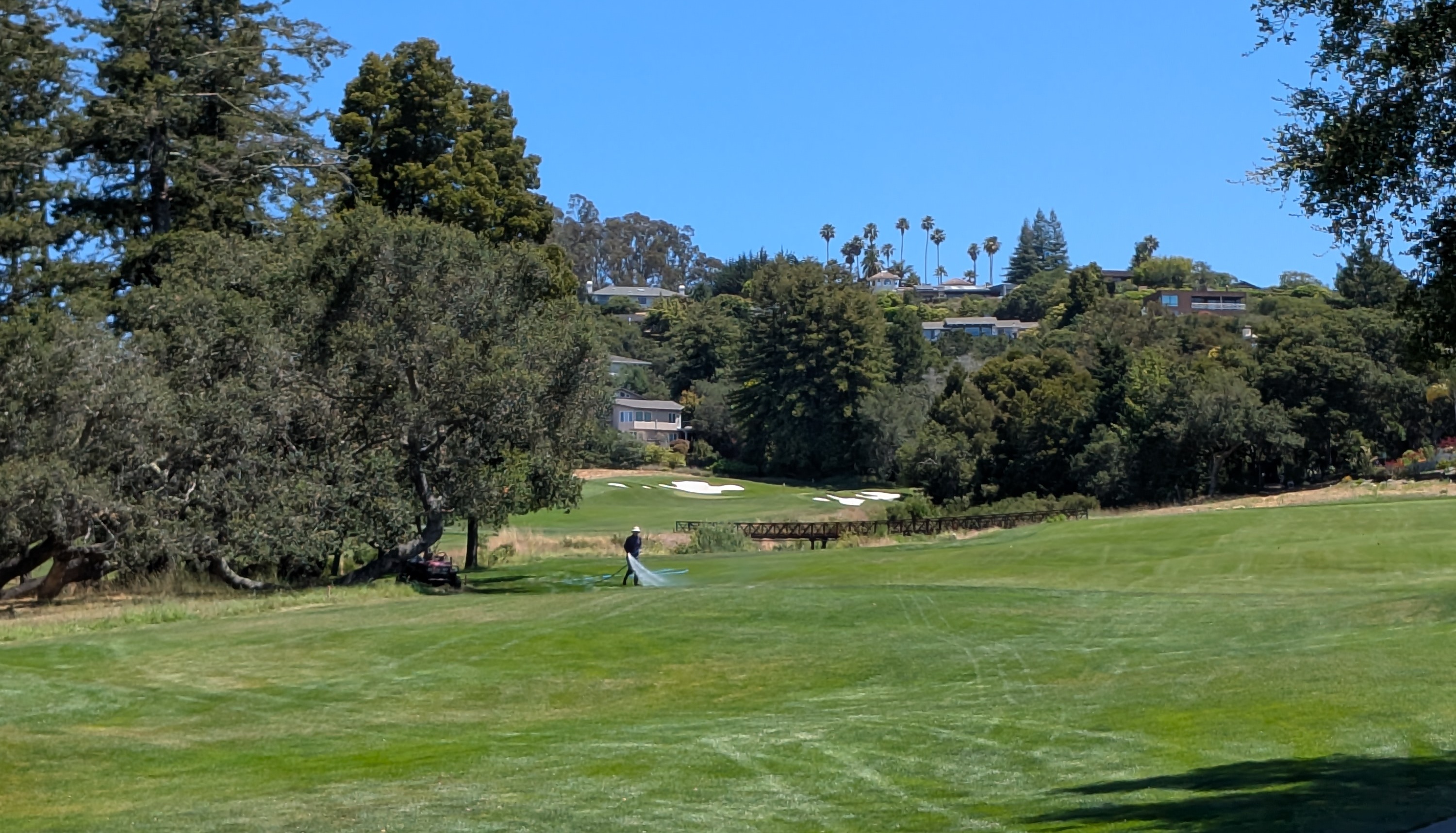 The twelfth hole at Pasatiempo Golf Club
