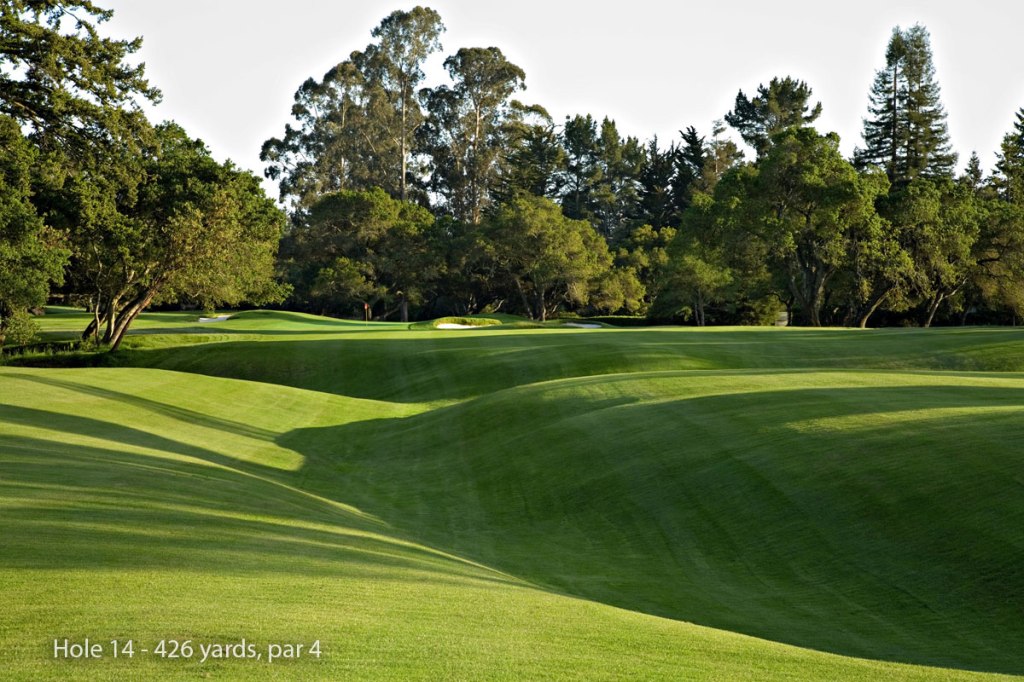 The fourteenth hole at Pasatiempo Golf Club, from the course's website