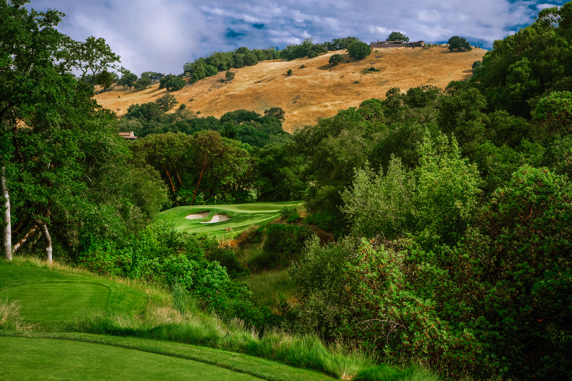 The third hole at Mayacama Golf Club