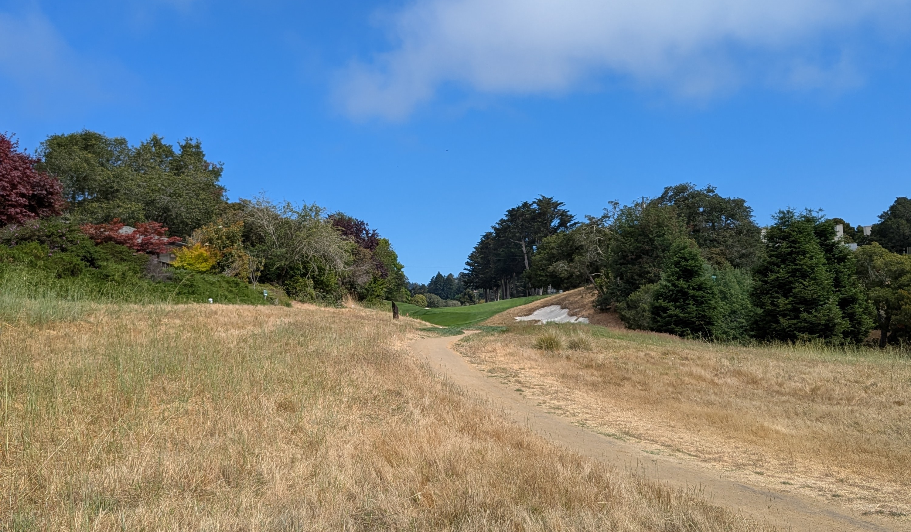 The tee shot at the sixth hole at Pasatiempo Golf Club